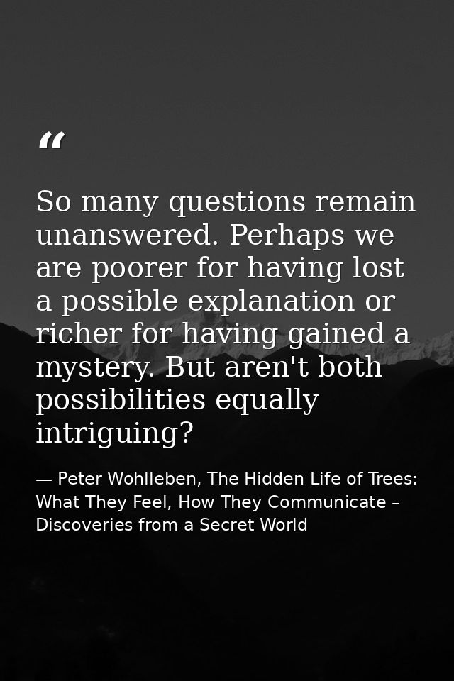 So many questions remain unanswered. Perhaps we are poorer for having lost a possible explanation or richer for having g — Peter Wohlleben, The Hidden Life of Trees: What They Feel, How They Communicate – Discoveries from a Secret World