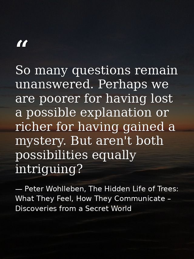 So many questions remain unanswered. Perhaps we are poorer for having lost a possible explanation or richer for having g — Peter Wohlleben, The Hidden Life of Trees: What They Feel, How They Communicate – Discoveries from a Secret World