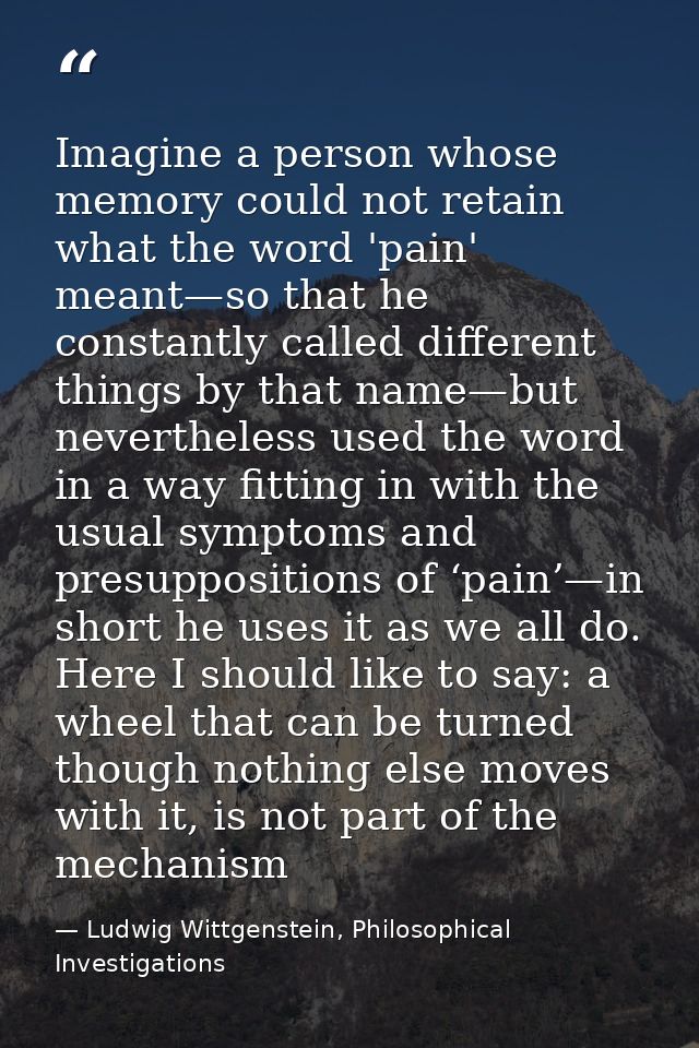 Imagine a person whose memory could not retain what the word 'pain' meant—so that he constantly called different things  — Ludwig Wittgenstein, Philosophical Investigations
