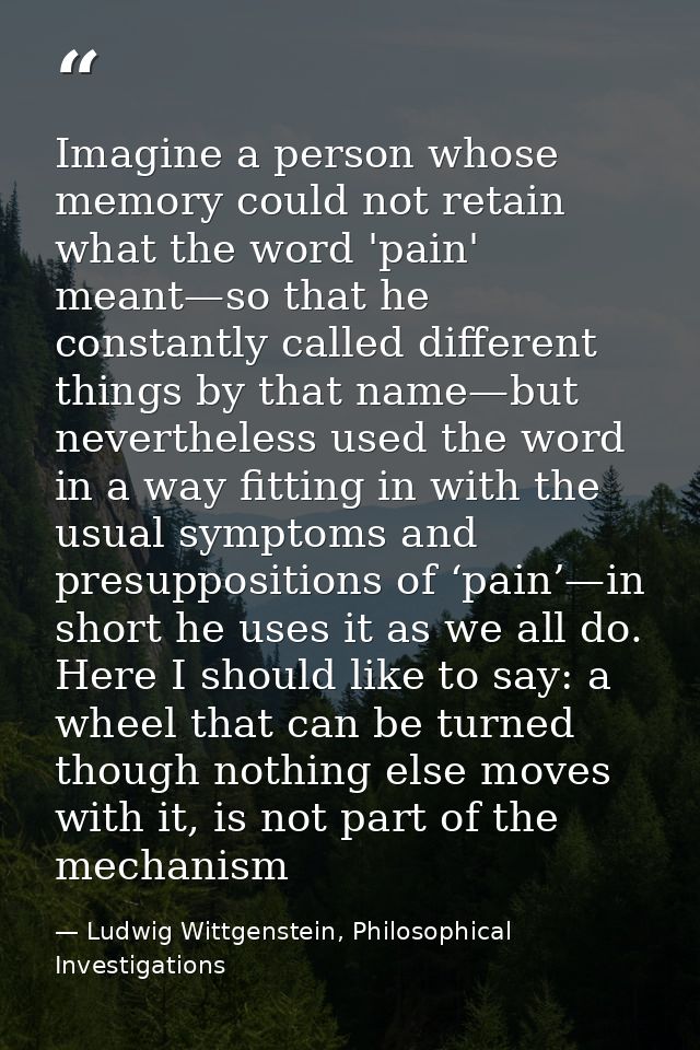 Imagine a person whose memory could not retain what the word 'pain' meant—so that he constantly called different things  — Ludwig Wittgenstein, Philosophical Investigations