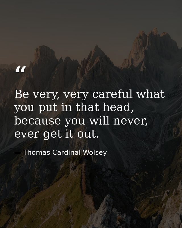 Be very, very careful what you put in that head, because you will never, ever get it out. — Thomas Cardinal Wolsey