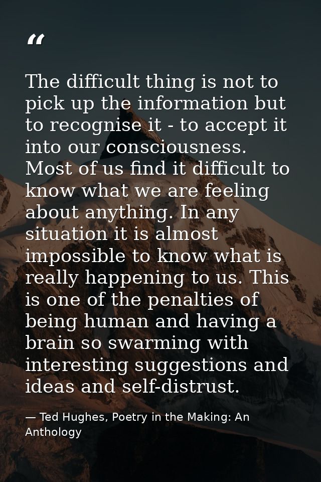 The difficult thing is not to pick up the information but to recognise it - to accept it into our consciousness. Most of — Ted Hughes, Poetry in the Making: An Anthology