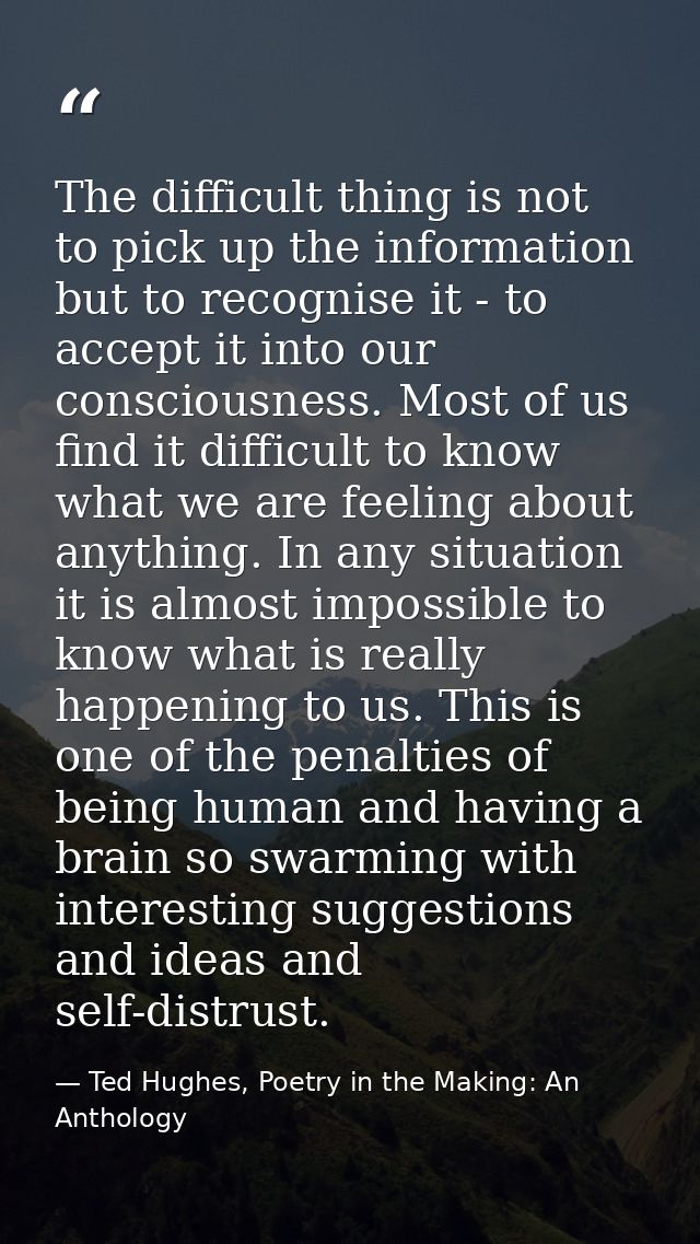 The difficult thing is not to pick up the information but to recognise it - to accept it into our consciousness. Most of — Ted Hughes, Poetry in the Making: An Anthology