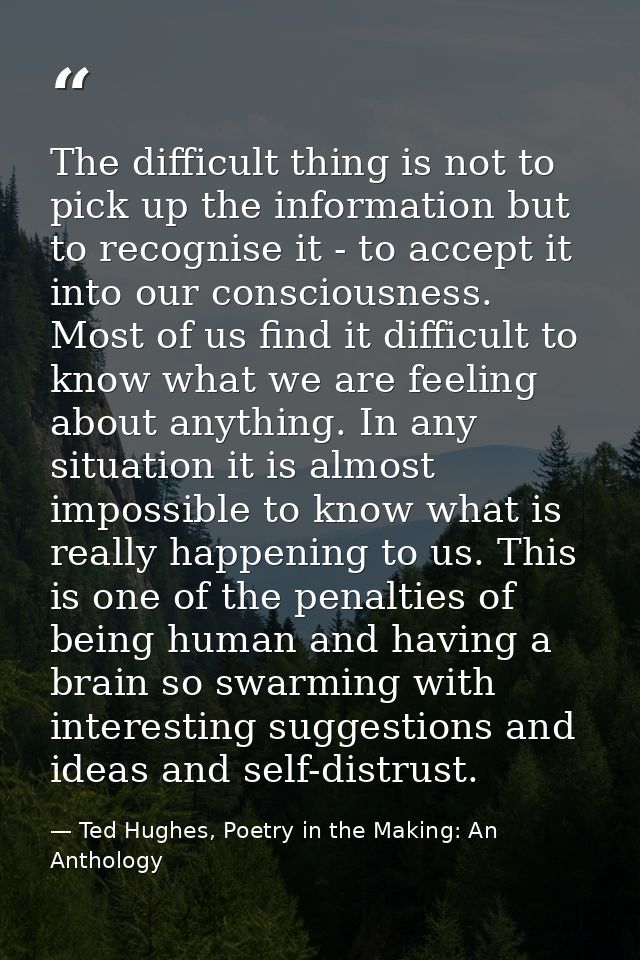The difficult thing is not to pick up the information but to recognise it - to accept it into our consciousness. Most of — Ted Hughes, Poetry in the Making: An Anthology