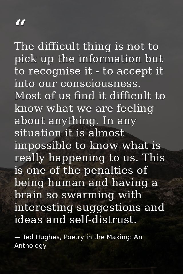 The difficult thing is not to pick up the information but to recognise it - to accept it into our consciousness. Most of — Ted Hughes, Poetry in the Making: An Anthology