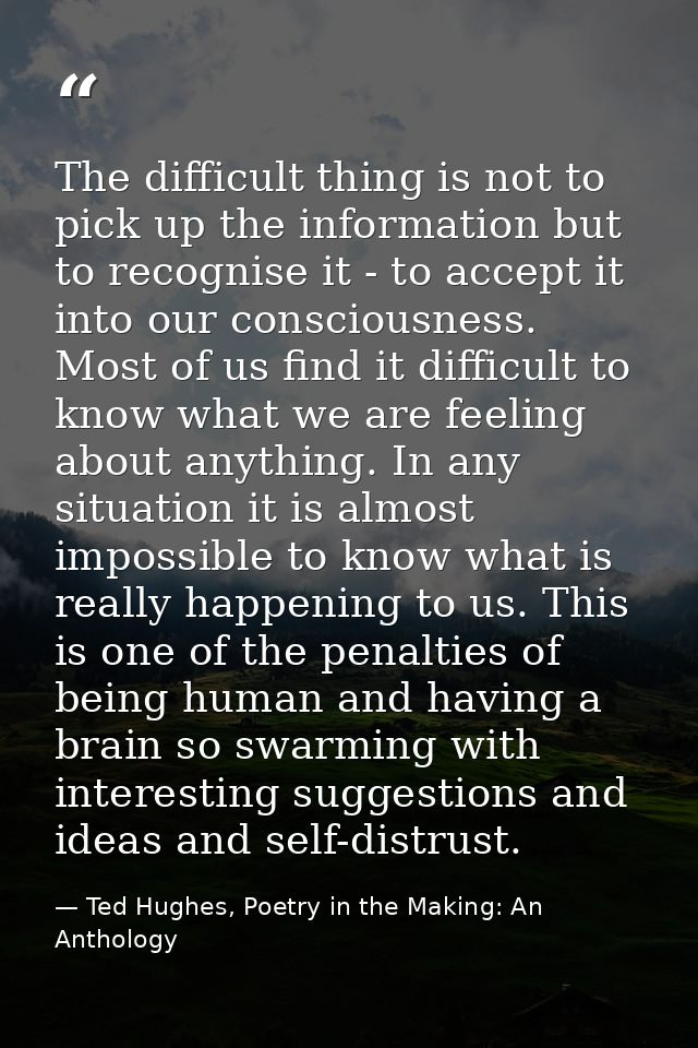 The difficult thing is not to pick up the information but to recognise it - to accept it into our consciousness. Most of — Ted Hughes, Poetry in the Making: An Anthology