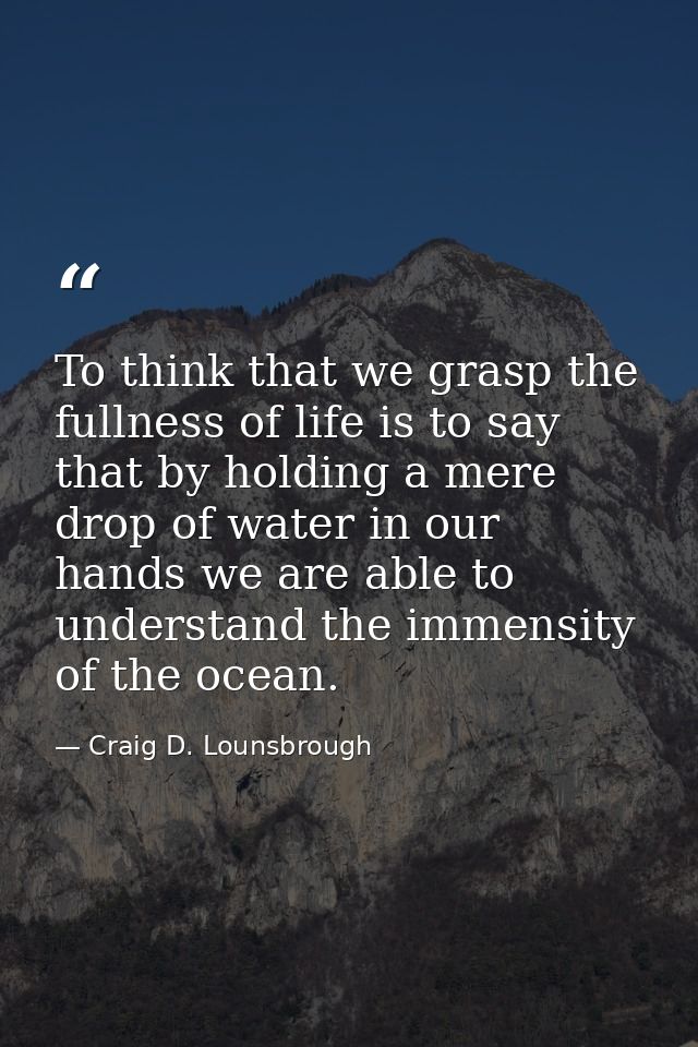 To think that we grasp the fullness of life is to say that by holding a mere drop of water in our hands we are able to u — Craig D. Lounsbrough