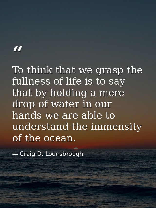 To think that we grasp the fullness of life is to say that by holding a mere drop of water in our hands we are able to u — Craig D. Lounsbrough