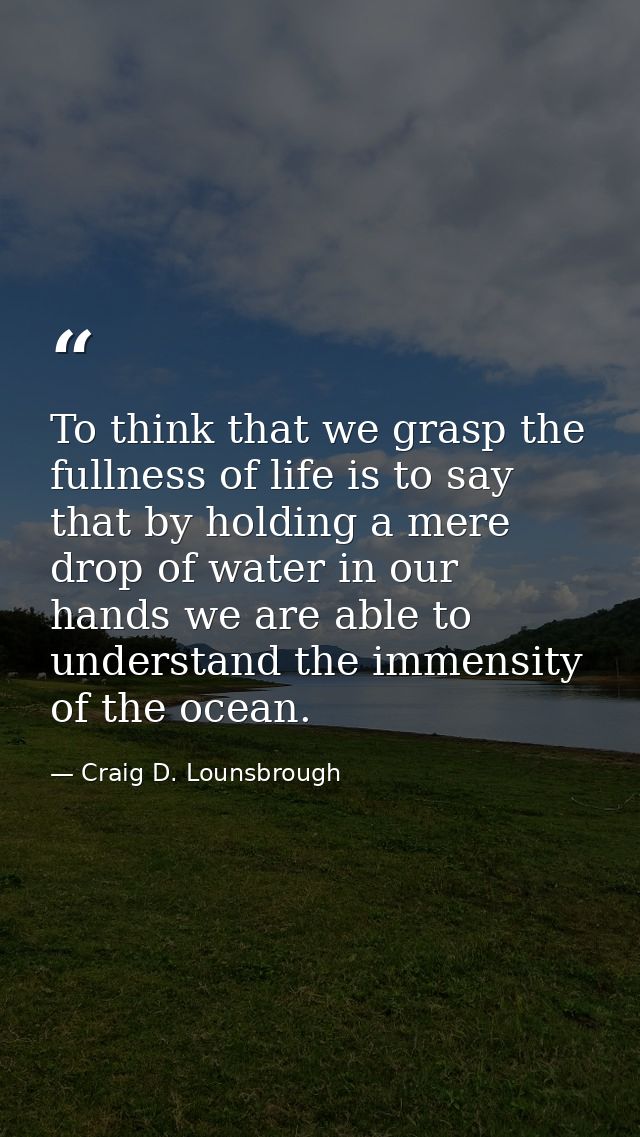 To think that we grasp the fullness of life is to say that by holding a mere drop of water in our hands we are able to u — Craig D. Lounsbrough