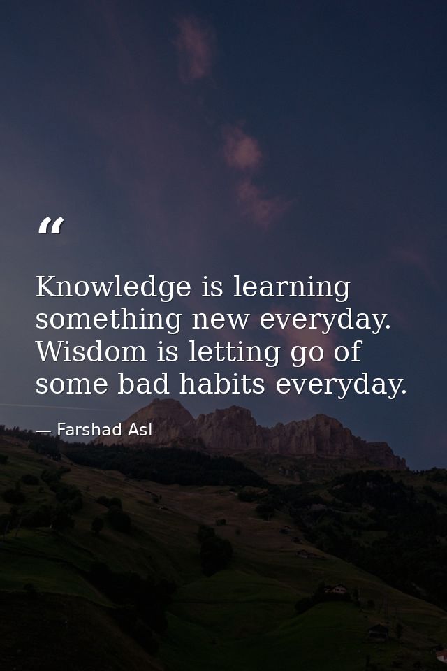 Knowledge is learning something new everyday. Wisdom is letting go of some bad habits everyday. — Farshad Asl
