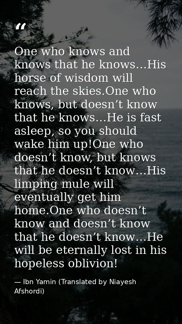 One who knows and knows that he knows…His horse of wisdom will reach the skies.One who knows, but doesn’t know that he k — Ibn Yamin (Translated by Niayesh Afshordi)