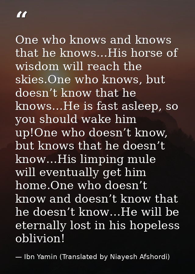 One who knows and knows that he knows…His horse of wisdom will reach the skies.One who knows, but doesn’t know that he k — Ibn Yamin (Translated by Niayesh Afshordi)