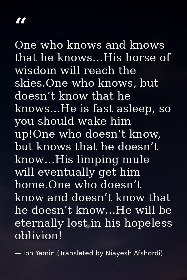 One who knows and knows that he knows…His horse of wisdom will reach the skies.One who knows, but doesn’t know that he k — Ibn Yamin (Translated by Niayesh Afshordi)