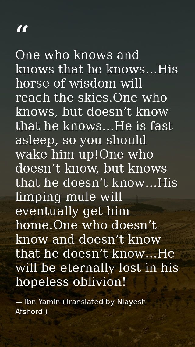 One who knows and knows that he knows…His horse of wisdom will reach the skies.One who knows, but doesn’t know that he k — Ibn Yamin (Translated by Niayesh Afshordi)