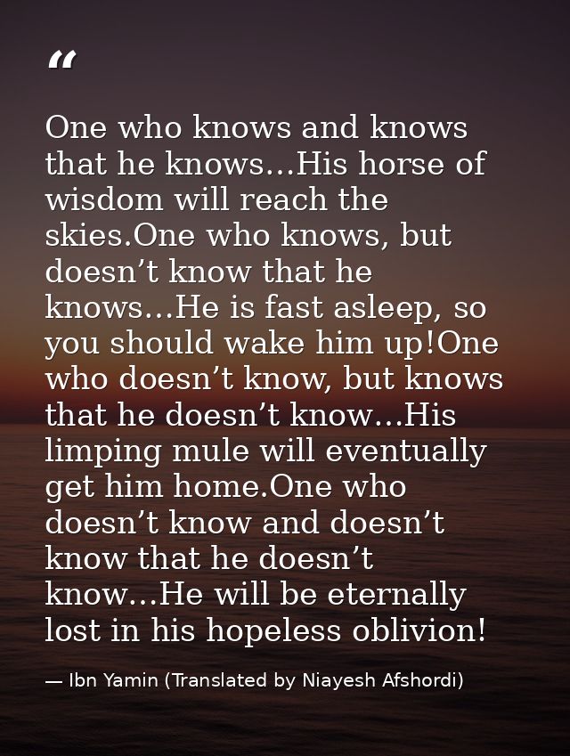 One who knows and knows that he knows…His horse of wisdom will reach the skies.One who knows, but doesn’t know that he k — Ibn Yamin (Translated by Niayesh Afshordi)