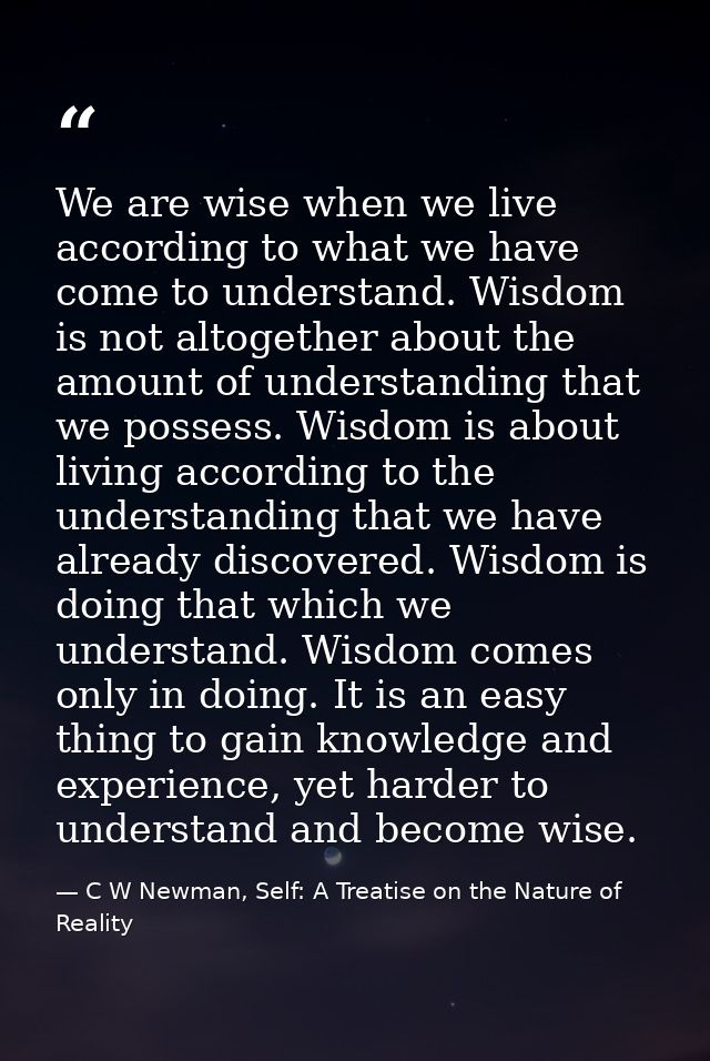 We are wise when we live according to what we have come to understand. Wisdom is not altogether about the amount of unde — C W Newman, Self: A Treatise on the Nature of Reality