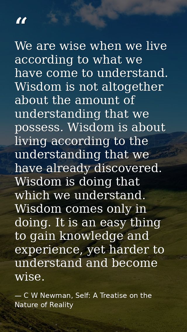 We are wise when we live according to what we have come to understand. Wisdom is not altogether about the amount of unde — C W Newman, Self: A Treatise on the Nature of Reality