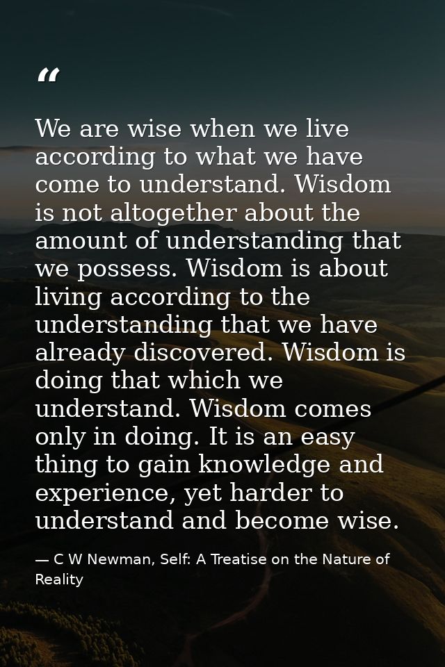 We are wise when we live according to what we have come to understand. Wisdom is not altogether about the amount of unde — C W Newman, Self: A Treatise on the Nature of Reality