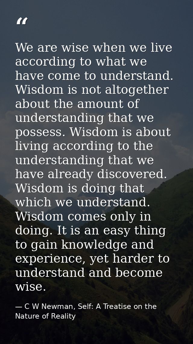 We are wise when we live according to what we have come to understand. Wisdom is not altogether about the amount of unde — C W Newman, Self: A Treatise on the Nature of Reality
