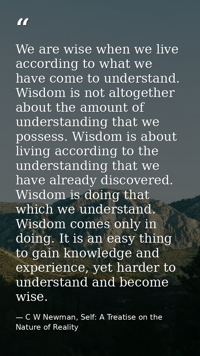 We are wise when we live according to what we have come to understand. Wisdom is not altogether about the amount of unde — C W Newman, Self: A Treatise on the Nature of Reality