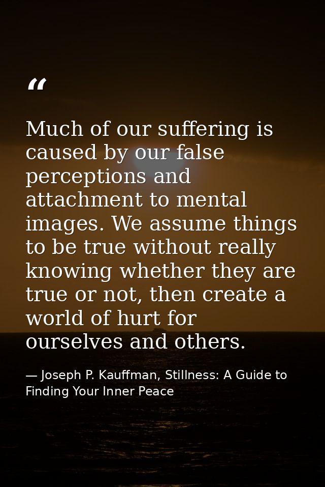 Much of our suffering is caused by our false perceptions and attachment to mental images. We assume things to be true wi — Joseph P. Kauffman, Stillness: A Guide to Finding Your Inner Peace
