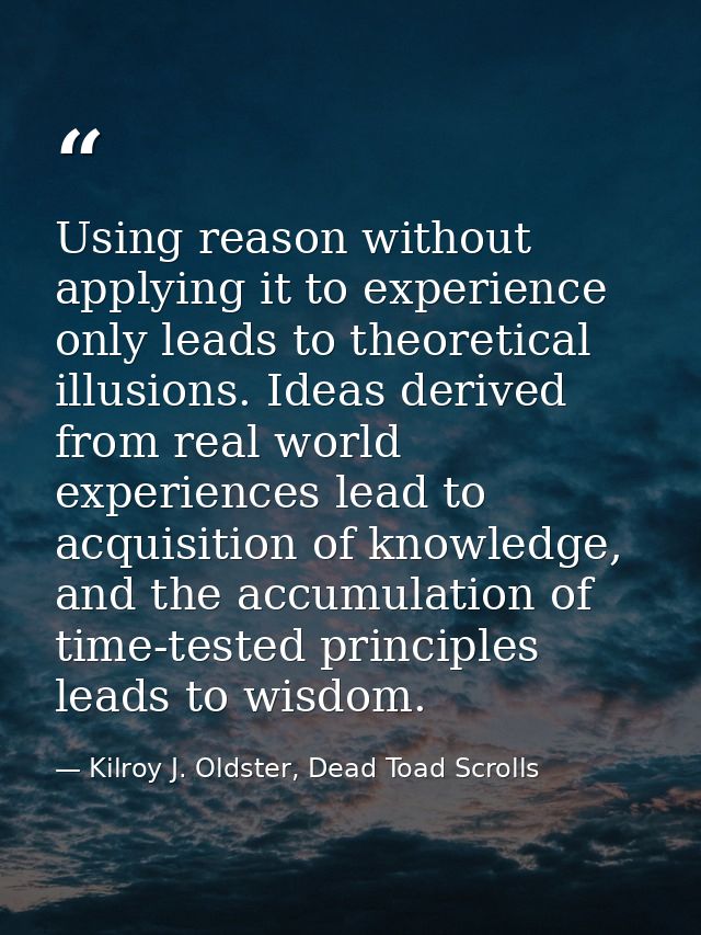 Using reason without applying it to experience only leads to theoretical illusions. Ideas derived from real world experi — Kilroy J. Oldster, Dead Toad Scrolls