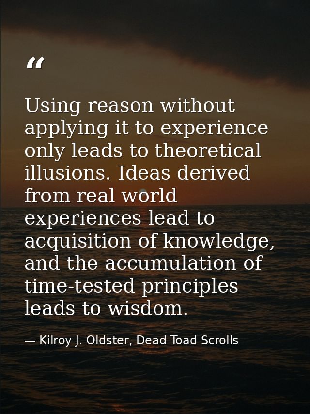 Using reason without applying it to experience only leads to theoretical illusions. Ideas derived from real world experi — Kilroy J. Oldster, Dead Toad Scrolls