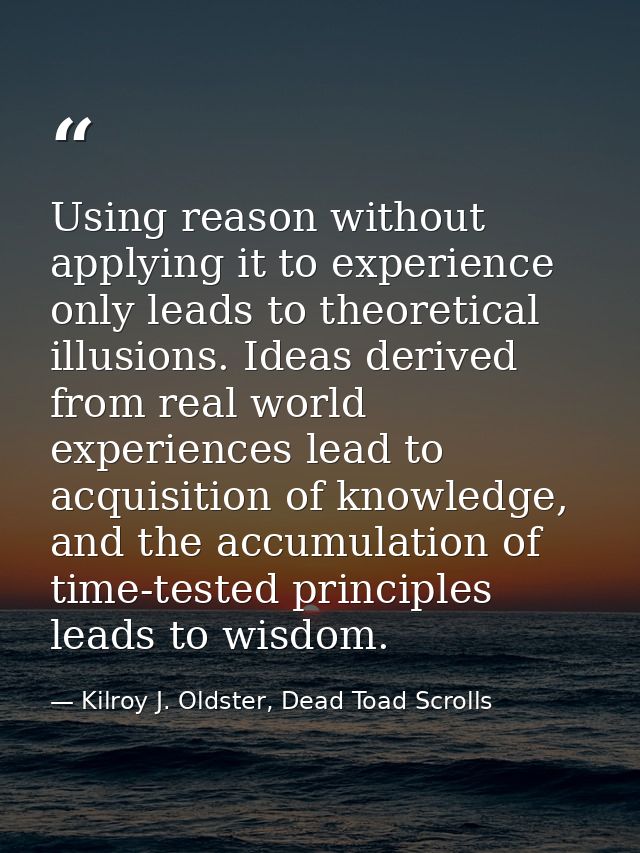 Using reason without applying it to experience only leads to theoretical illusions. Ideas derived from real world experi — Kilroy J. Oldster, Dead Toad Scrolls
