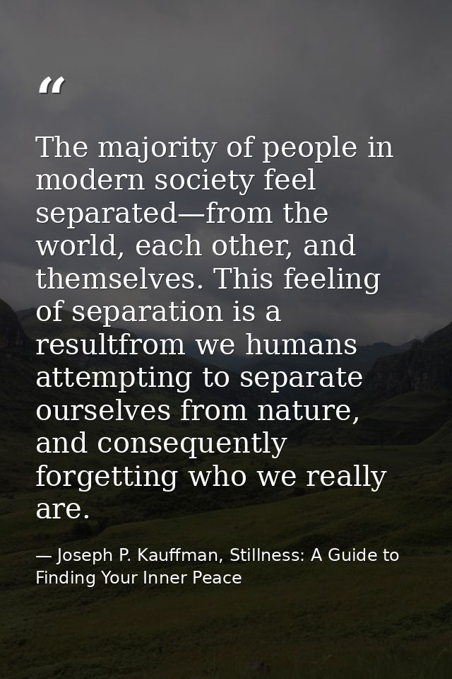 The majority of people in modern society feel separated—from the world, each other, and themselves. This feeling of sepa — Joseph P. Kauffman, Stillness: A Guide to Finding Your Inner Peace