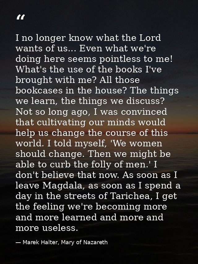 I no longer know what the Lord wants of us... Even what we're doing here seems pointless to me! What's the use of the bo — Marek Halter, Mary of Nazareth