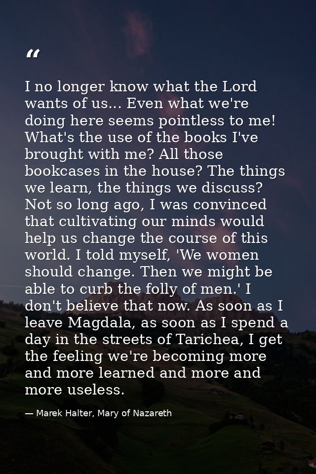 I no longer know what the Lord wants of us... Even what we're doing here seems pointless to me! What's the use of the bo — Marek Halter, Mary of Nazareth