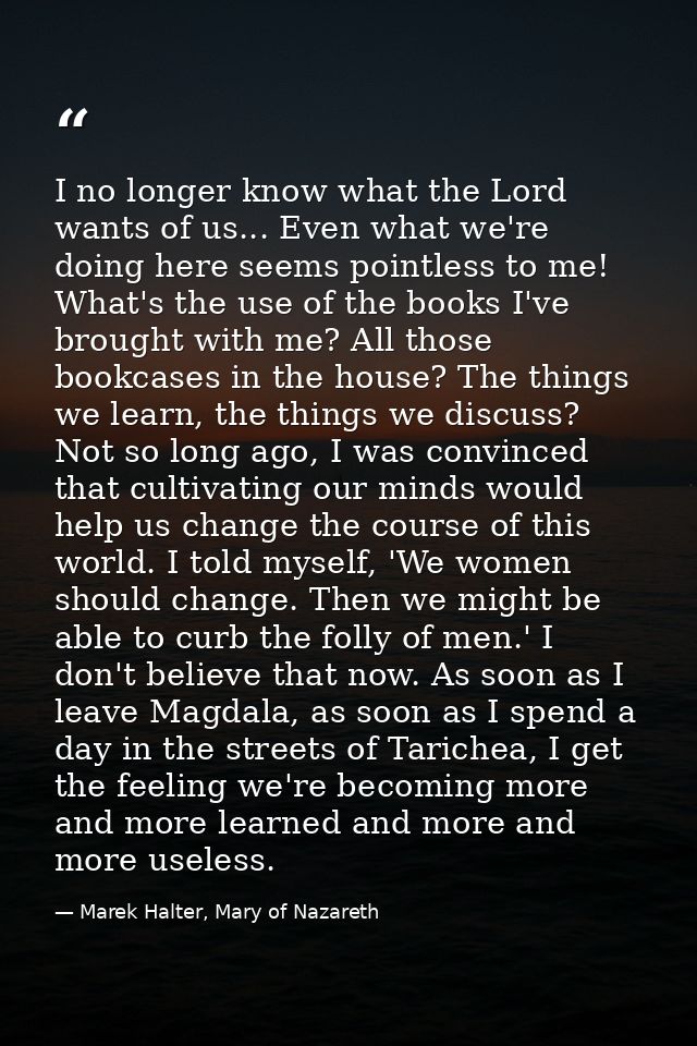 I no longer know what the Lord wants of us... Even what we're doing here seems pointless to me! What's the use of the bo — Marek Halter, Mary of Nazareth
