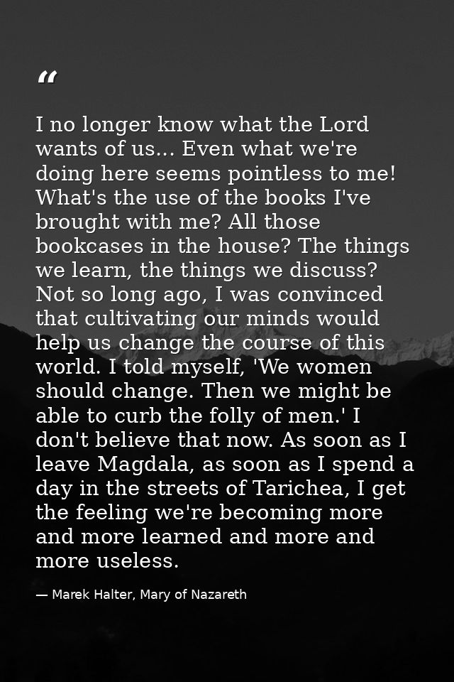 I no longer know what the Lord wants of us... Even what we're doing here seems pointless to me! What's the use of the bo — Marek Halter, Mary of Nazareth