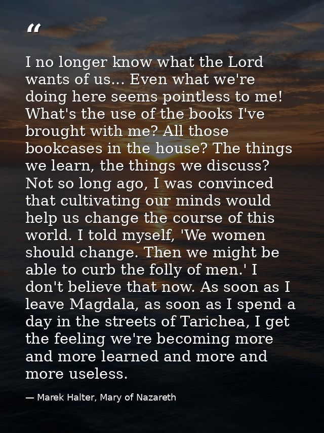 I no longer know what the Lord wants of us... Even what we're doing here seems pointless to me! What's the use of the bo — Marek Halter, Mary of Nazareth