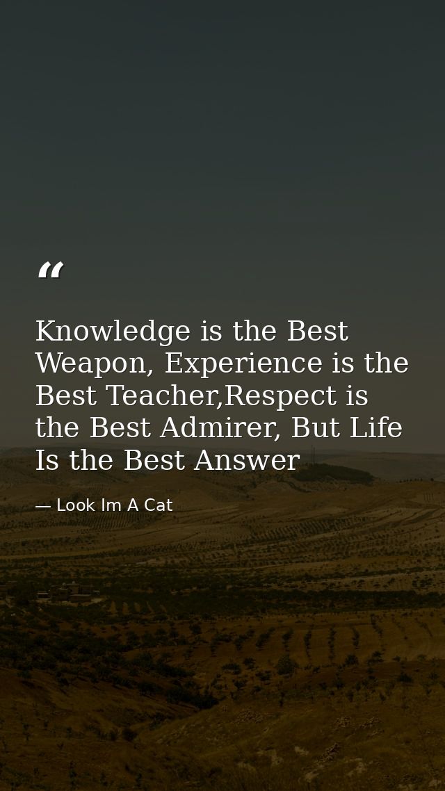 Knowledge is the Best Weapon, Experience is the Best Teacher,Respect is the Best Admirer, But Life Is the Best Answer — Look Im A Cat