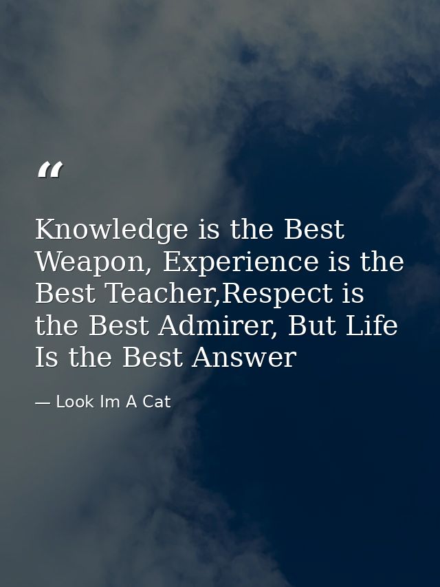 Knowledge is the Best Weapon, Experience is the Best Teacher,Respect is the Best Admirer, But Life Is the Best Answer — Look Im A Cat