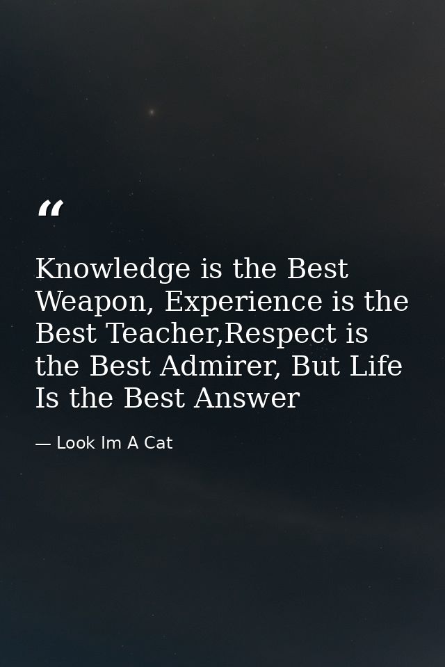 Knowledge is the Best Weapon, Experience is the Best Teacher,Respect is the Best Admirer, But Life Is the Best Answer — Look Im A Cat