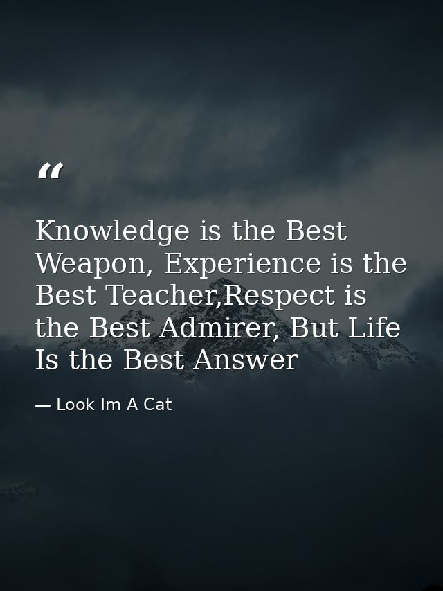 Knowledge is the Best Weapon, Experience is the Best Teacher,Respect is the Best Admirer, But Life Is the Best Answer — Look Im A Cat