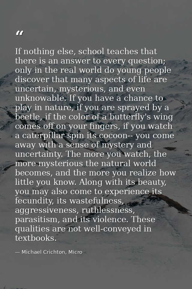 If nothing else, school teaches that there is an answer to every question; only in the real world do young people discov — Michael Crichton, Micro