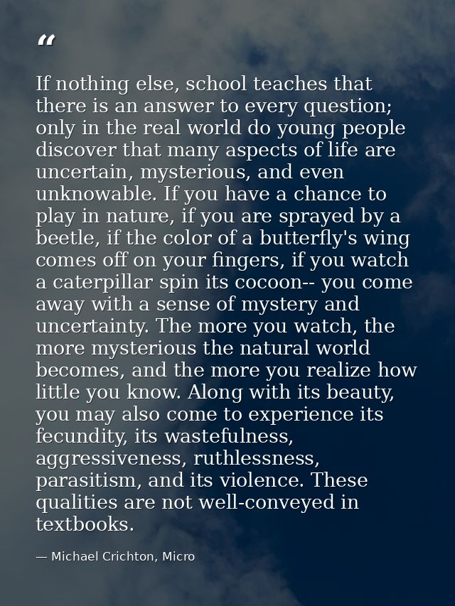 If nothing else, school teaches that there is an answer to every question; only in the real world do young people discov — Michael Crichton, Micro