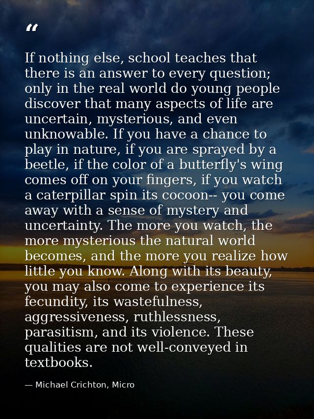 If nothing else, school teaches that there is an answer to every question; only in the real world do young people discov — Michael Crichton, Micro