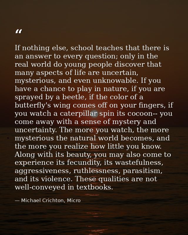 If nothing else, school teaches that there is an answer to every question; only in the real world do young people discov — Michael Crichton, Micro