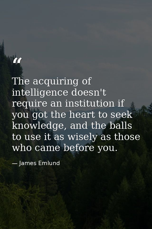 The acquiring of intelligence doesn't require an institution if you got the heart to seek knowledge, and the balls to us — James Emlund