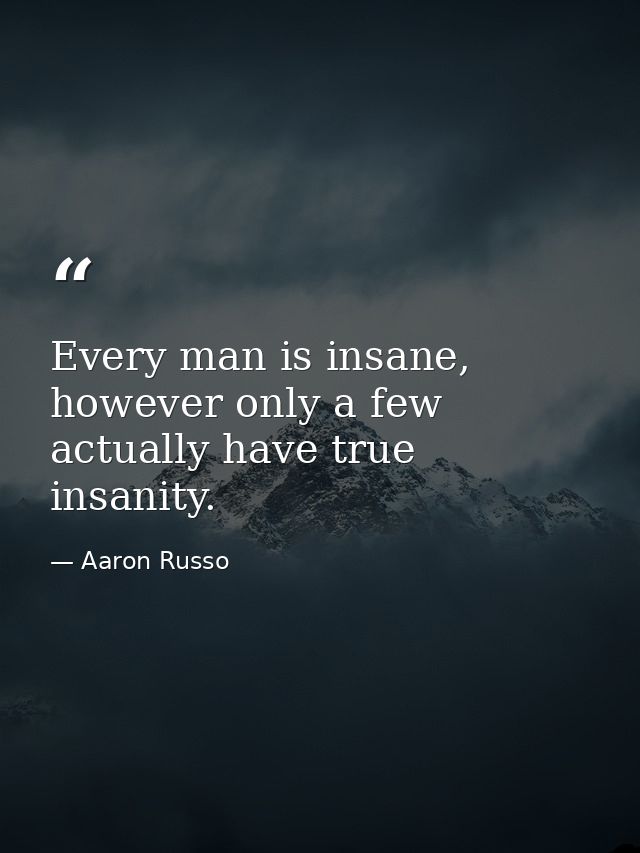 Every man is insane, however only a few actually have true insanity. — Aaron Russo