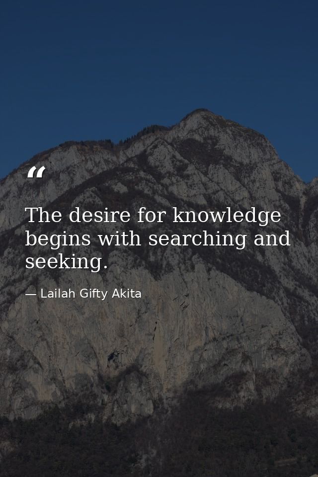 The desire for knowledge begins with searching and seeking. — Lailah Gifty Akita