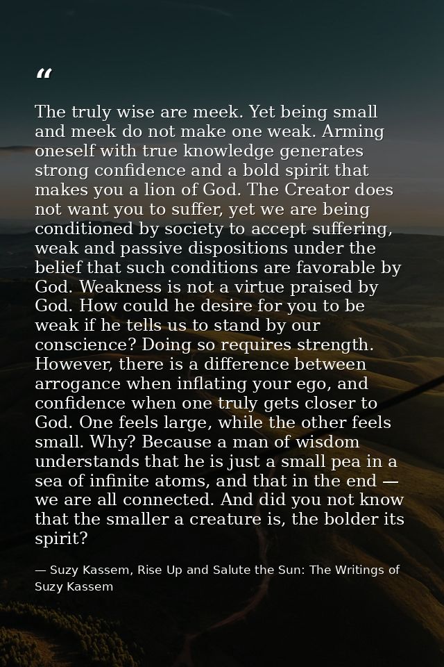 The truly wise are meek. Yet being small and meek do not make one weak. Arming oneself with true knowledge generates str — Suzy Kassem, Rise Up and Salute the Sun: The Writings of Suzy Kassem