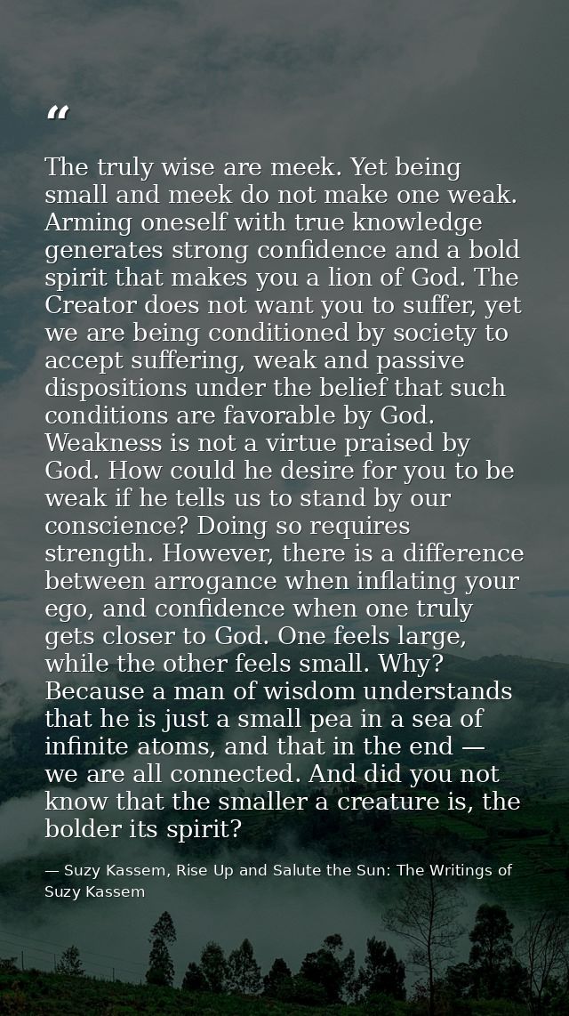 The truly wise are meek. Yet being small and meek do not make one weak. Arming oneself with true knowledge generates str — Suzy Kassem, Rise Up and Salute the Sun: The Writings of Suzy Kassem