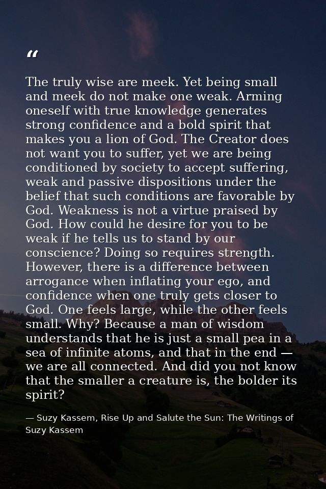The truly wise are meek. Yet being small and meek do not make one weak. Arming oneself with true knowledge generates str — Suzy Kassem, Rise Up and Salute the Sun: The Writings of Suzy Kassem