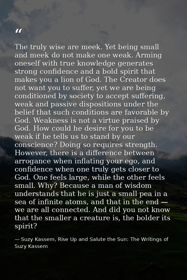 The truly wise are meek. Yet being small and meek do not make one weak. Arming oneself with true knowledge generates str — Suzy Kassem, Rise Up and Salute the Sun: The Writings of Suzy Kassem