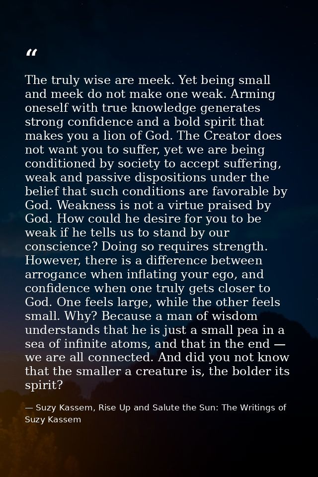 The truly wise are meek. Yet being small and meek do not make one weak. Arming oneself with true knowledge generates str — Suzy Kassem, Rise Up and Salute the Sun: The Writings of Suzy Kassem